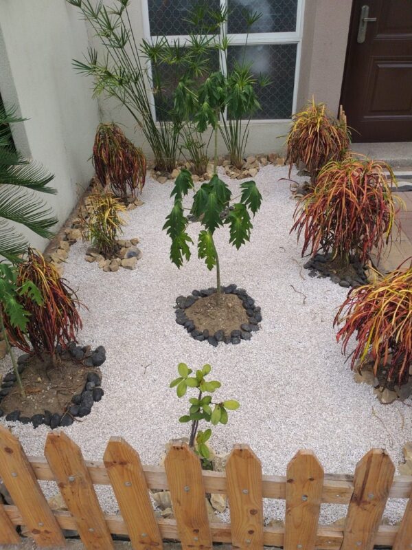 Granito blanco para jardines - Imagen 4